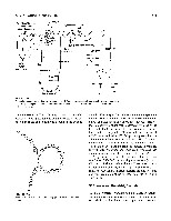 Bhagavan Medical Biochemistry 2001, page 965